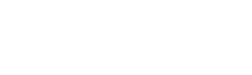 Logo von Digital Rider